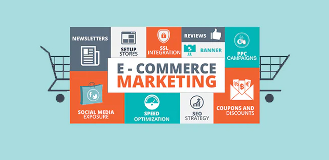 digital marketing expert in malappuram